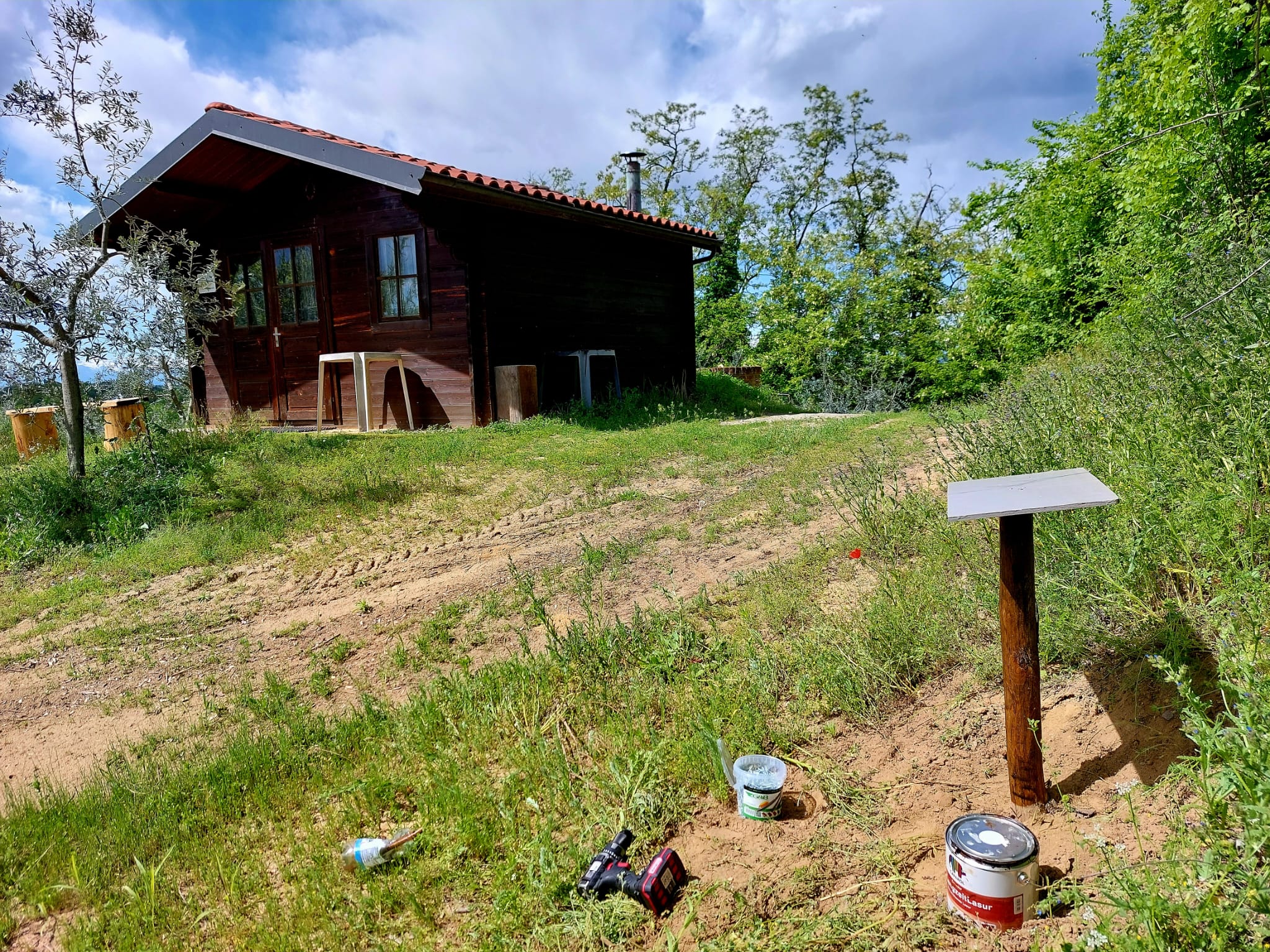 image1 (1)
